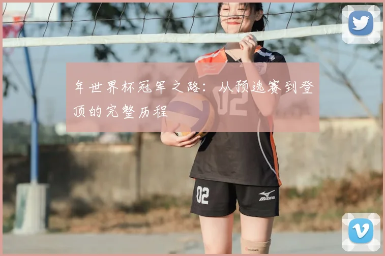 年世界杯冠军之路:从预选赛到登顶的完整历程